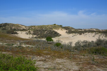 Nationalpark Süd-Kennemerland