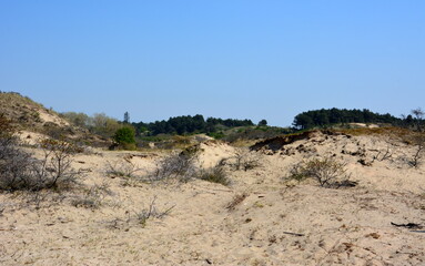 Nationalpark Süd-Kennemerland