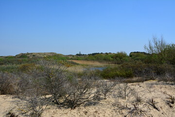Nationalpark Süd-Kennemerland