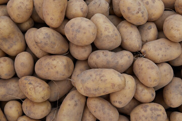 Potatoes for sale on the market.