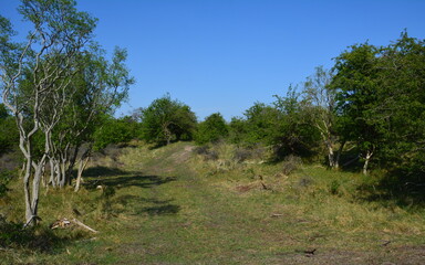 Nationalpark Süd-Kennemerland