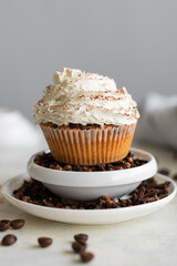 Homemade muffins with coffee and cinnamon. Food still life