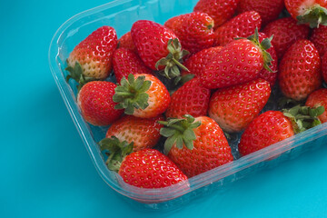 Freshly harvested strawberries in a plastic container