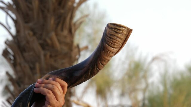 Jewish Man Blow Shofar outdoors. Rabbi with shawl walking and holding horn. blowing air to make spirituality sound. Judaism Holiday scene.