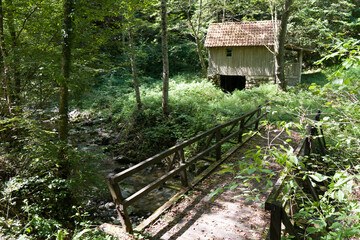 wooden house and bridge  in the forest