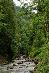 Fototapeta na wymiar Breitachklamm gorge in the Allgaeu Alps, Bavaria, Germany