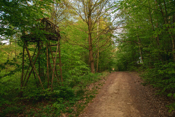 The way to the Maj view, Czech republic