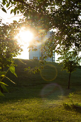 Sunbeams and glare seep through the green foliage of the trees