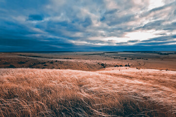Dry grass against a dramatic autumn sky.