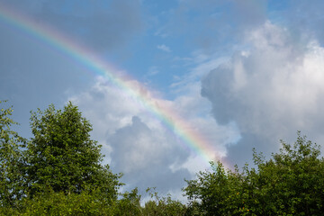 Multicolored rainbow over green trees against a blue sky with clouds.