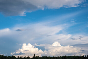 Obraz premium Beautiful cumulus clouds above the dark outline of trees and high stratus clouds.