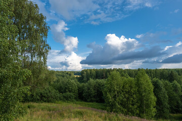 Dense green deciduous forest and beautiful cloudy sky.