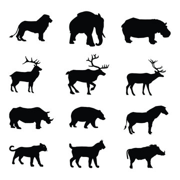 African Animals silhouettes set of 12 animals