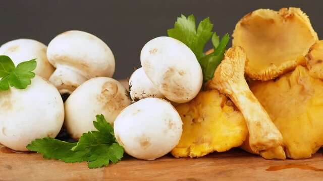 group of champignon and chanterelles mushrooms on wood