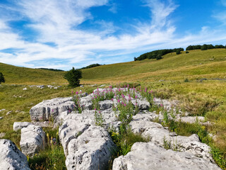 Fototapeta na wymiar Karst formations and green meadow photographed in the Northern Velebit mountain in Croatia