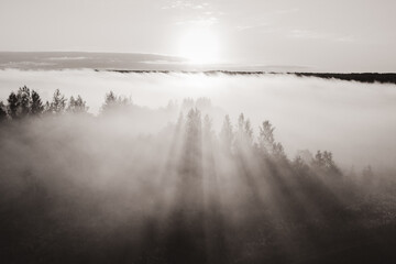 Early morning landscape over the river. Rays of the sun breaking through the fog in over the trees