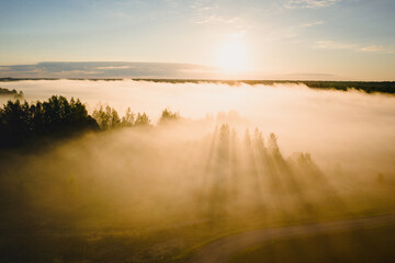 Early morning landscape over the river. Rays of the sun breaking through the fog in over the trees