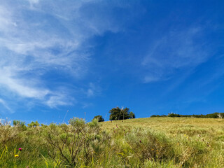 Obraz premium Beautiful green meadows in the Northern Velebit National Park in Croatia