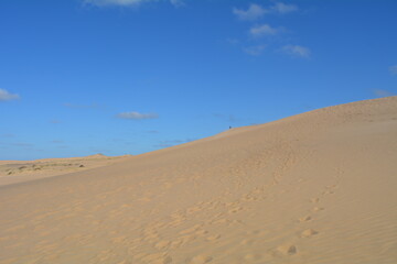 Viajes