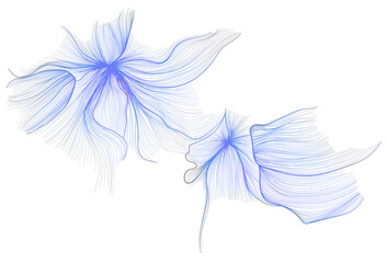 Graphic design of flowers, minimalist line drawings. Vector illustration.