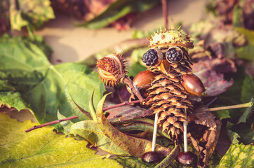 colorful craft of autumn