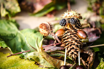 colorful craft of autumn