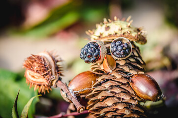 colorful craft of autumn