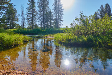 Clear waters of Johnson Creek in the Sawtooth National Forest.