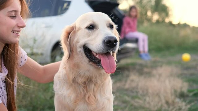 Cute girl petting dod outdoors against travel car, golnen retriever breed