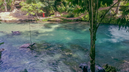 source of the tioyacu river in rioja tarapoto peru