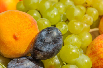 Fruits: grapes, apples, plums, peach. Ingredients of a healthy diet.