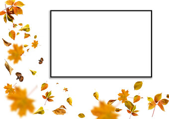 Autumn background with fall leaves. Black chalkboard in center with copy space for your text. Cozy Autumn Still Life. Back to School Concept.