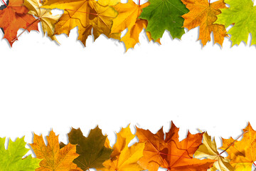 Autumn background. autumn leaves and frame for text