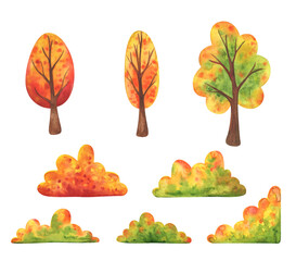 Falling deciduous trees and bushes. A set of autumn images. Stock watercolor plants. Collection of decorative elements isolated on a white background