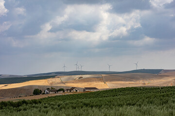 rural landscape with windmills