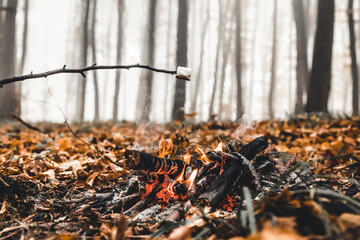 Marshmallow on skewers is fried at the stake. Toasted marshmallows open flame on skewer