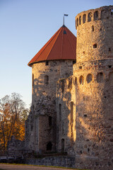 Autumn Park With Old Castle Ruins in Cesis, Latvia. 13th Century Ancient Livonian Castle