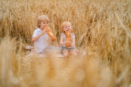 Picknic in the field of grain. Kids eating bread baguette