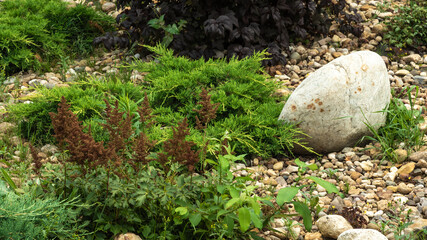 Fragment of a decorative alpine slide, landscape design - rockery with conifers, alpine herbs and shrubs, stones and large pebbles