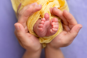 baby feet in the hands of the mother. newborn's legs on a purple background