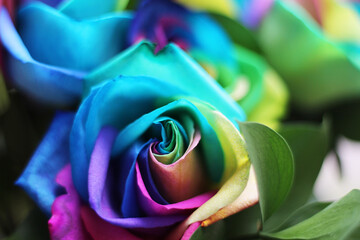 Fototapeta na wymiar A bundle of rainbow colored roses