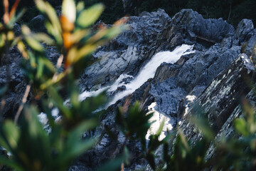 Waterfall with flowers on the foreground