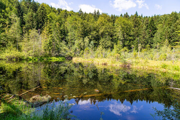 Fototapeta na wymiar Beautiful mountain forest lake