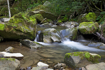 Landscape with beautiful fast mountain stream. Mountain river.
