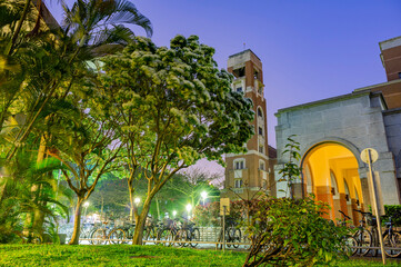 Naklejka premium Night view of the Chionanthus retusus blossom in NTU