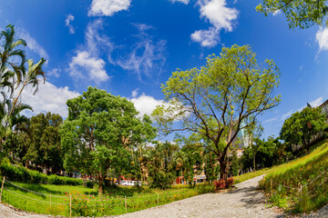 Sunny view of the NTU Campus
