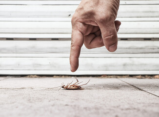 Finger pointed at an aquaroach lying on the floor