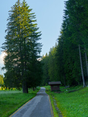 Along the cycleway of Fassa valley, Dolomites