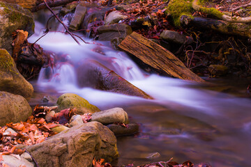 River in Beskidy mountain, Bielsko-Biala. © Leszek