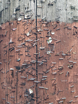 Close up of metal staples on telephone pole